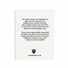 Load image into Gallery viewer, Orange Mini Card